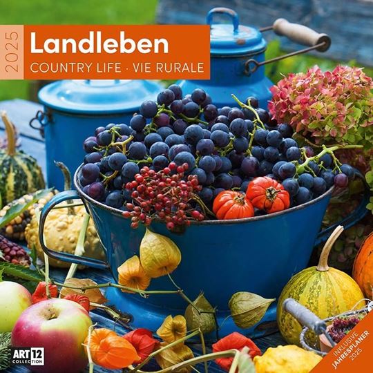 Picture of Landleben Kalender 2025 - 30x30