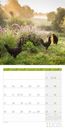 Bild von Landleben Kalender 2025 - 30x30