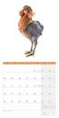 Immagine di Verrückte Hühner Kalender 2025 - 30x30