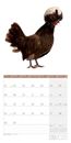 Bild von Verrückte Hühner Kalender 2025 - 30x30