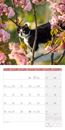 Picture of Katzen Kalender 2025 - 30x30