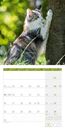 Image sur Katzen Kalender 2025 - 30x30