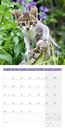 Bild von Katzen Kalender 2025 - 30x30