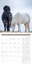 Image sur Pferde Kalender 2025 - 30x30