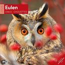 Picture of Eulen Kalender 2025 - 30x30