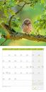 Picture of Eulen Kalender 2025 - 30x30