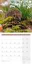 Immagine di Heimische Wildtiere Kalender 2025 - 30x30