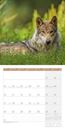 Bild von Heimische Wildtiere Kalender 2025 - 30x30