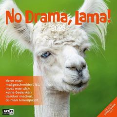 Bild von No Drama, Lama! Kalender 2025 - 30x30