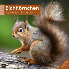 Image de Eichhörnchen Kalender 2025 - 30x30