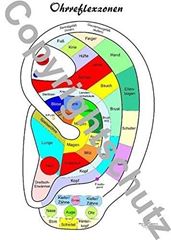 Image de Ohr A4 - Reflexzonenübersicht Lehrtafel