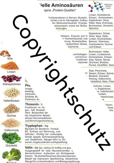 Image sur Aminosäure und vegane Protein-Quellen, Übersichtskarte DIN A4