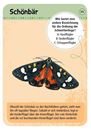 Bild von Expedition Natur 50 heimische Schmetterlinge, VE-1