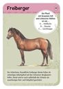 Image sur Expedition Natur 50 Pferde & Ponys, VE-1