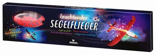 Image sur Leuchtender Segelflieger (mit LEDs), VE-6