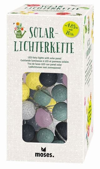 Bild von Blatt & Blüte Solarlichterkette VE 4