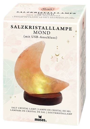 Image sur Omm for you Salzkristall-Lampe Mond mit USB, VE-2