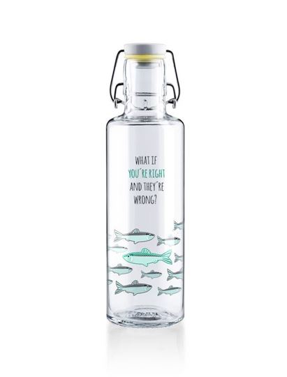 Image sur Trinkflasche You're right 0.6l von soulbottles