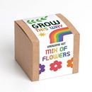 Bild von Grow This Way – Mix of Flowers Growing Kit