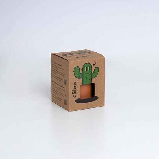 Picture of Mr. Cactus