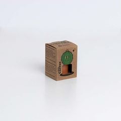 Image de Baby Cactus