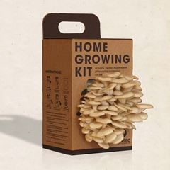 Image de Homegrowing Kit