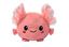 Bild von Flauschige Wende-Axolotl, VE-6