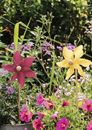 Picture of Blatt & Blüte Windrad, VE-18