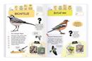 Bild von Expedition Natur Rätseln, Stickern, Bestimmen - Vögel, VE-1