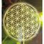 Bild von Aufkleber Blume des Lebens Kunststoff 5 cm VE2