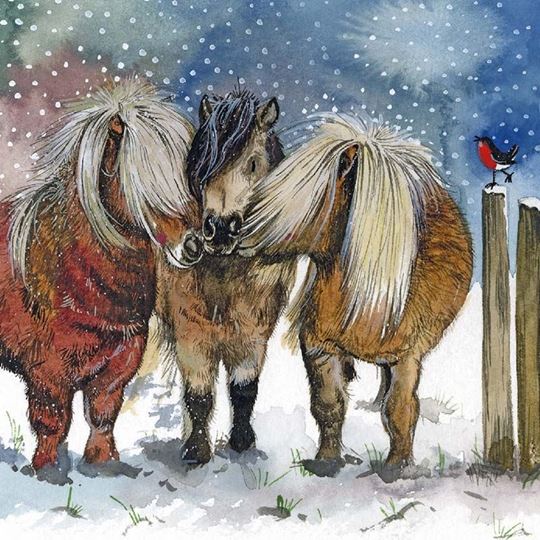 Image sur CHRISTMAS PONIES
