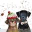 Image de CHRISTMAS SINGERS