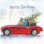 Picture of RED CAR