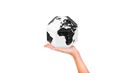 Bild von Palomar DearWorld Globe Extra small countries XS