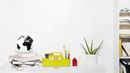 Bild von Palomar DearWorld Globe Extra small countries XS