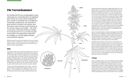 Immagine di MUNCHIES: High Cuisine – Cannabis kannwas! Kochen & Backen mit THC, CBD und m