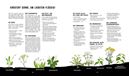 Picture of Naturensöhne: Outdoor Kochen – OhneStrom und ohne Schnickschnack mit den N