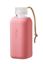 Picture of Squireme Trinkflasche Y1 05 in CANTALOUPE, 0.6l