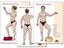 Bild von Loh, Nirgun W.: Shiatsu Meridian Schaubilder DIN A3
