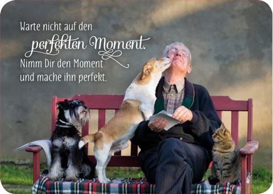 Bild von Postkarte. Warte nicht auf den perfektenMoment. Nimm ihn Dir einfach und mache