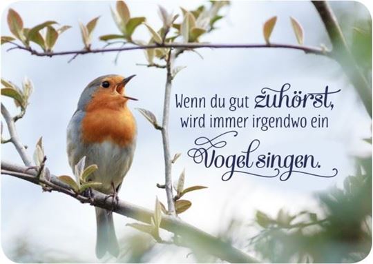 Image sur Wenn du gut zuhörst, wird immer irgendwoein Vogel singen 10 Ex.