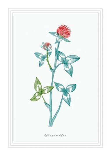 Bild von Postkarte. Wiesenklee 10 Ex.