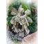 Immagine di Blumenfeen-Paar Ginster, Resin, H ca. 18 cm