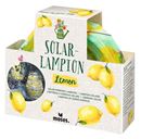 Bild von Blatt & Blüte Solar-Lampion Lemon, VE-6