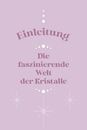 Image sur v. Schenckendorff N: Kartenbox: Die Kraft der Kristalle und Heilsteine