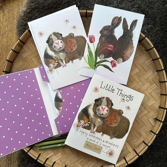 Picture of LITTLE THING BOXED NOTECARDS