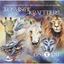Picture of Kosmische Krafttiere, Audio-CD