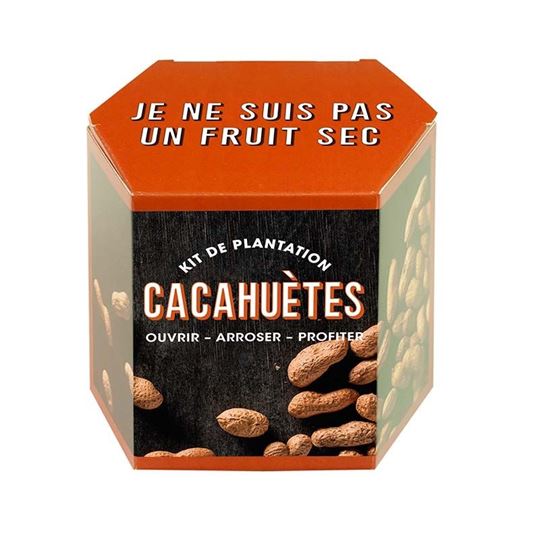 Bild von Kit d’Auto-culture Cacahuètes