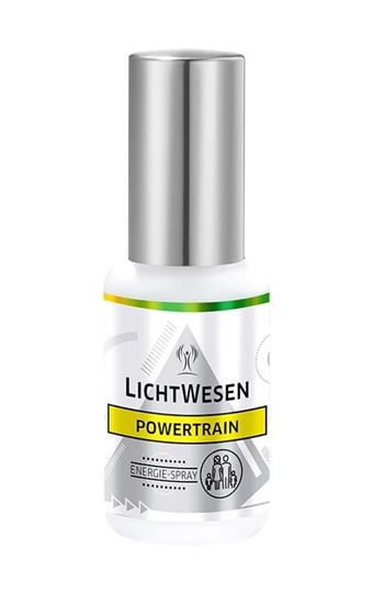 Image sur LichtWesen Powertrain – Energetisiertes Gesichtstonikum