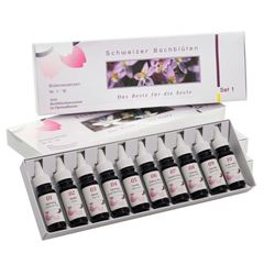 Immagine di Bachblüten-Familien-Set Violettglas 40 x 10 ml